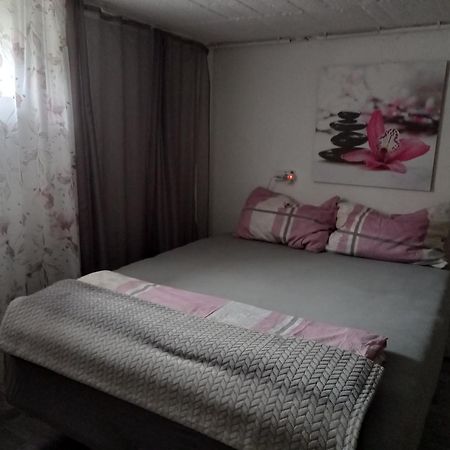 60 M² Ferienapartment Zentrumsnahe Mit Gartenbenutzung Steyr Exteriér fotografie