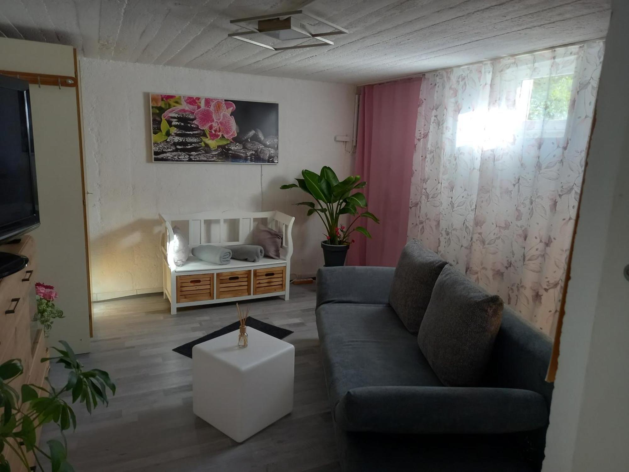 60 M² Ferienapartment Zentrumsnahe Mit Gartenbenutzung Steyr Exteriér fotografie